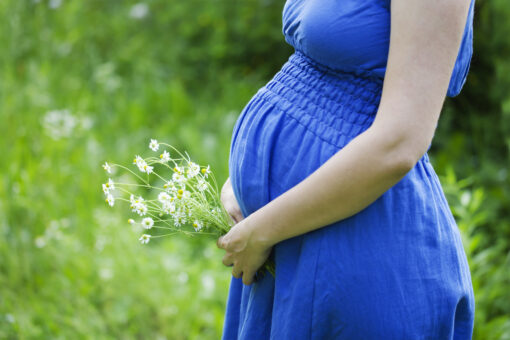Botanical Support for Motherhood
